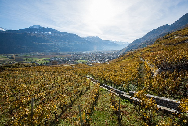 Les Celliers de Vetroz vyds